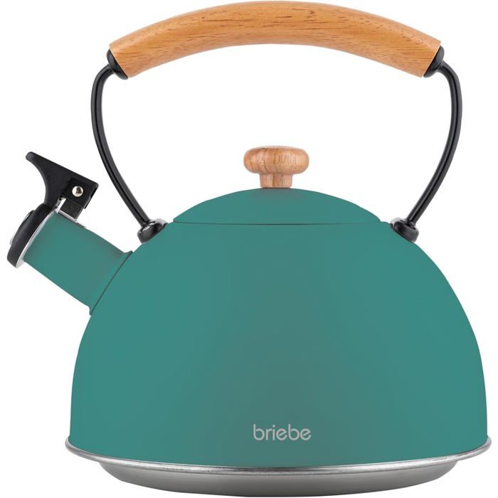 Bouilloire Sifflante 2,8L En Acier Inoxydable - Induction Et Toutes Plaques, Son Clair Et Puissant, Poignée Une Main