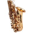 Classic Cantabile Winds AS-450 Mib saxophone alto SET-2