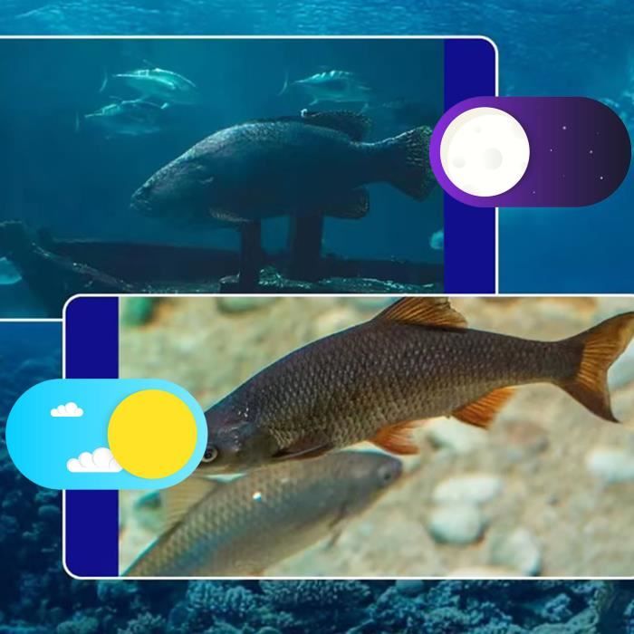 Caméra Sous-marine IvyWell - Détecteur De Poissons HD Vision Nocturne