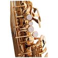 Classic Cantabile Winds AS-450 Mib saxophone alto SET-3