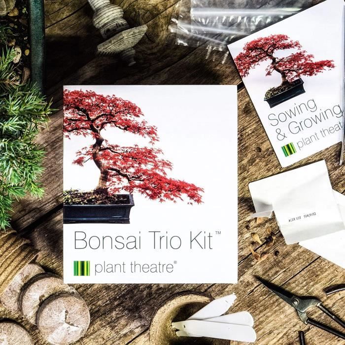 Plant Theatre Kit Bonsai - Plantes, Graines et Bulbes Prêt-à