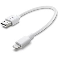 CABLING®Câble USB A vers Lightning court Chargeur pour iPhone idéale pour power bank 30 cm