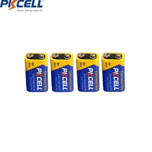 PILES 9V-Pkcell 9 V 6f22 Batterie De Zinc Au Carbone Extra-résistante 9 Volts Batterie Égale À Cr9v Er9v 6lr61 Batt