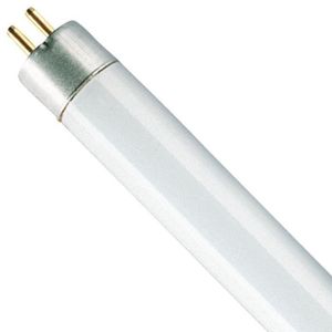 AMPOULE - LED Tube fluocompact Basic T5 - 8 W - 29 cm - D: 16 mm - 640 K