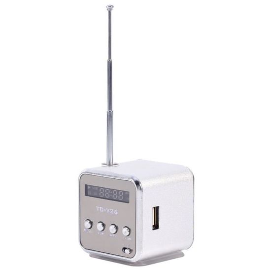 Lecteur MP3 Clip LCD Mini - Radio FM - Enregistreur - Port USB - Pile AAA - Ultra Portable
