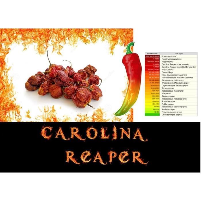 10g piment carolina reaper le plus fort du monde