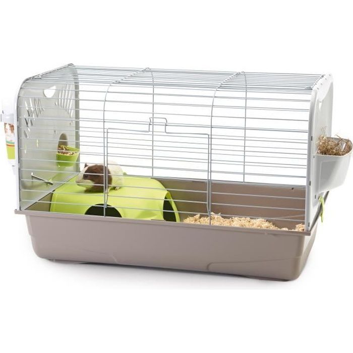 Cage Lapin Et Cochon D'inde Caesar 2