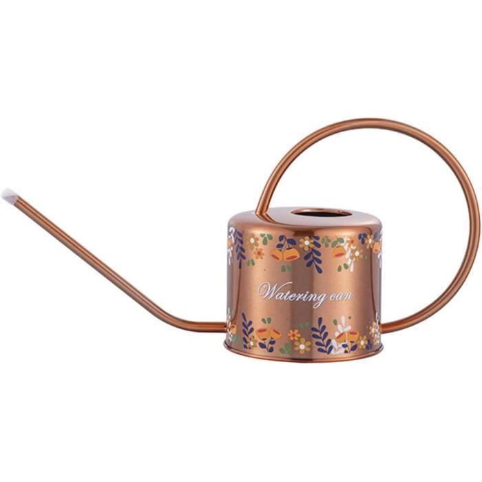 Arrosoir Galvanisé 5 Litres - Style Vintage, Acier Robuste - Pomme Dévissable, Anse Confort - Décoration Jardin