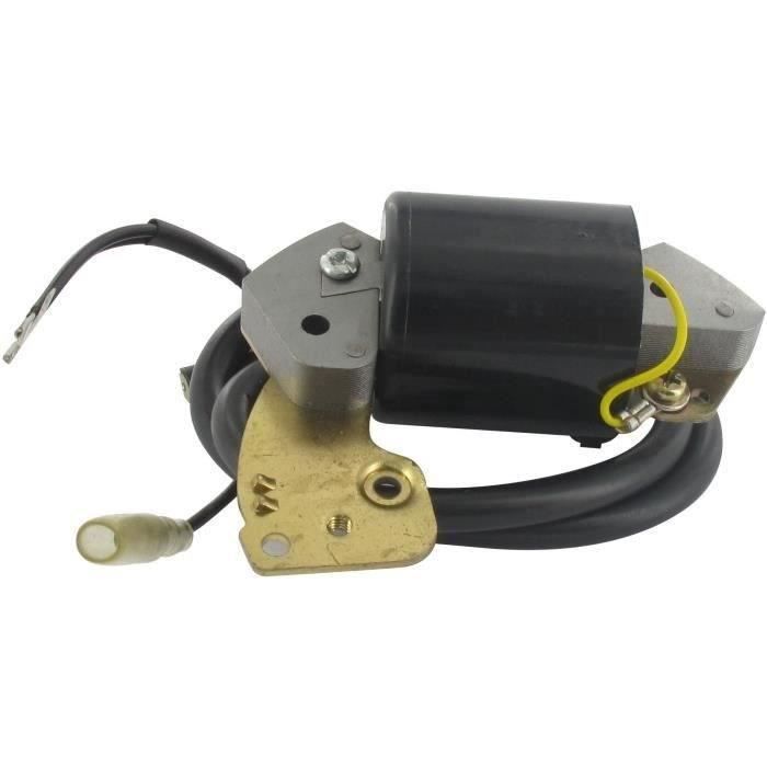 Bobine adaptable pour moteurs ROBIN modèle EC10
