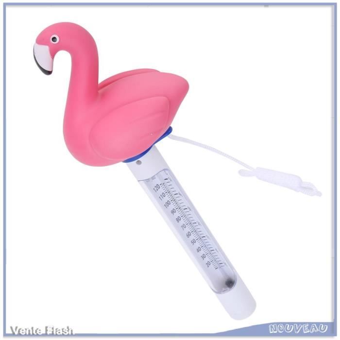 Thermomètre De Piscine Grenouille Design Animal Amusant - Flottant Avec Lecture Facile