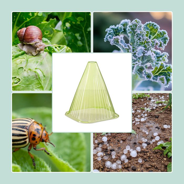 Relaxdays Cloche à Salade, Lot de 80, PVC, Protection Contre