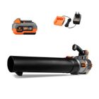 Souffleur à batterie - FUXTEC FX-E1LB20 - 20V 38m/s - Set 1 batterie 4Ah et chargeur 2,4A