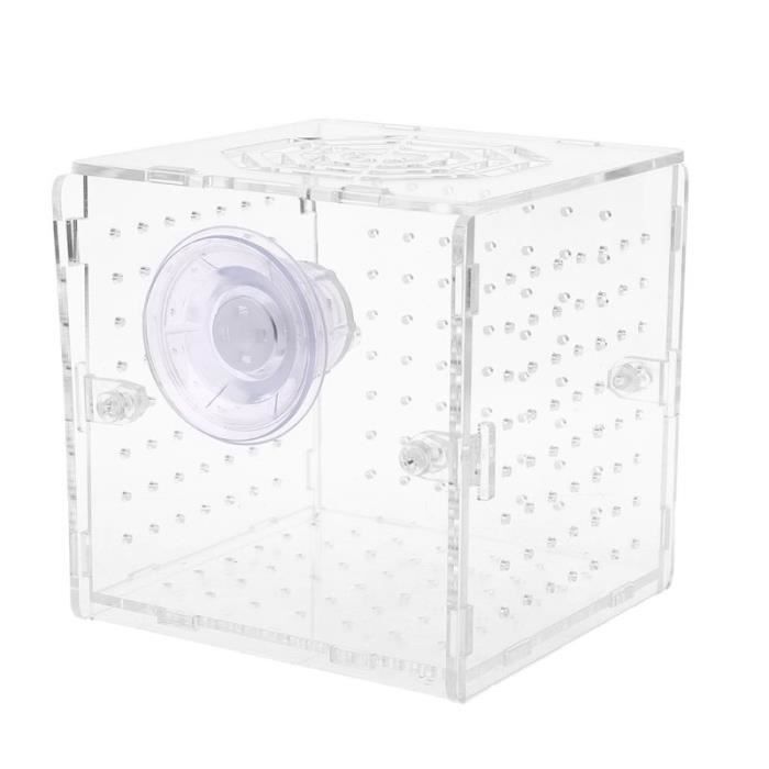 Aquarium,Boîte isolante en acrylique pour Aquarium Cage d'élevage, avec ventouse, pour bébé poissons - Type Bleu-10X10X10CM