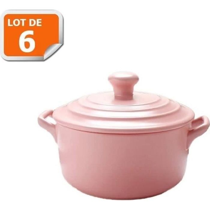 Lot de 6 mini cocottes roses double poignée avec couvercle HobbyCook