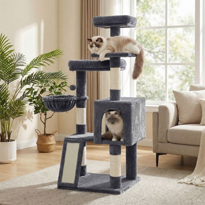 Arbre pour Chat avec 3 Plateformes Maison et Panier Griffoir pour Salon Hauteur 136 cm Gris Foncé