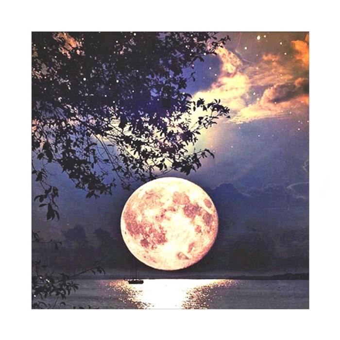 Puzzle Enfant 1 Paquet De Kits Peinture Au Diamant 5d Pleine Perceuse Strass Lune Photos be Cdiscount Jeux Jouets