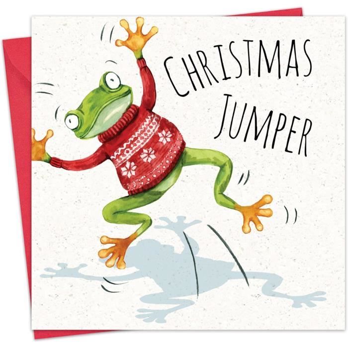 Carte De No l Amusante Avec Pull Grenouille Cartes De No l