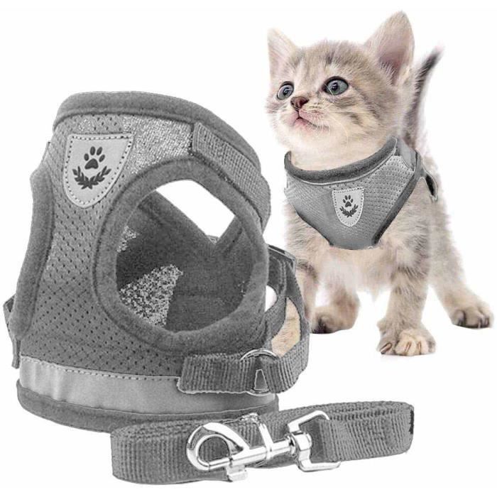 Harnais Pour Chat Petit Chien Avec Laisse Pour Promenade Bandes Reflechissantes Reglables Gilet Pour Chats Taille L Gris Achat Vente Harnais Animal Harnais Pour Chat Et Petit Cdiscount Harnais Pour Chat Petit Chien Avec Laisse Pour Promenade Bandes Reflechissantes Reglables Gilet Pour Chats Taille L Gris Achat Vente Harnais Animal Harnais Pour Chat Et Petit Cdiscount