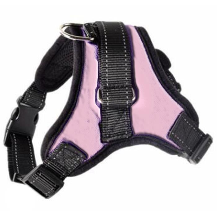 Ceinture De Sécurité Pour Chien Noviatrix - Harnais Voiture Réglable, Sangle Réfléchissante, Mousqueton Robuste - Pour Chiens Et Chats De Toutes Tailles, Sécurité En Trajet