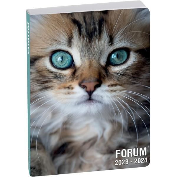 Agenda scolaire Chat Chaton 2023/2024 1 page par jour Août