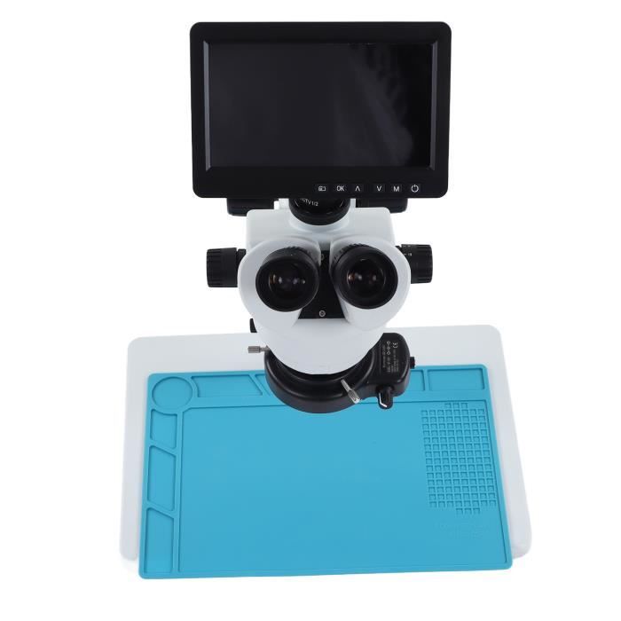 Plaque Spécimen Ronde Givrée Pour Microscope Stéréo - Verre - Différentes épaisseurs - Pour Laboratoire Biologie