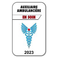 Autocollant Sticker - Vignette Caducée 2023 pour Pare Brise en Vitrophanie - V3 Auxiliaire Ambulancière 