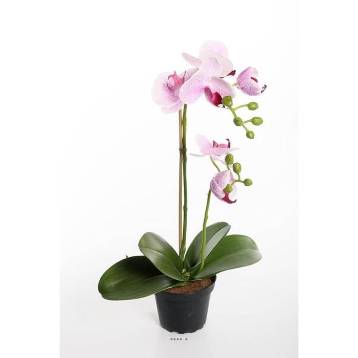 Orchidee artificielle 2 hampes en pot H 40 cm toucher reel Rose-crème