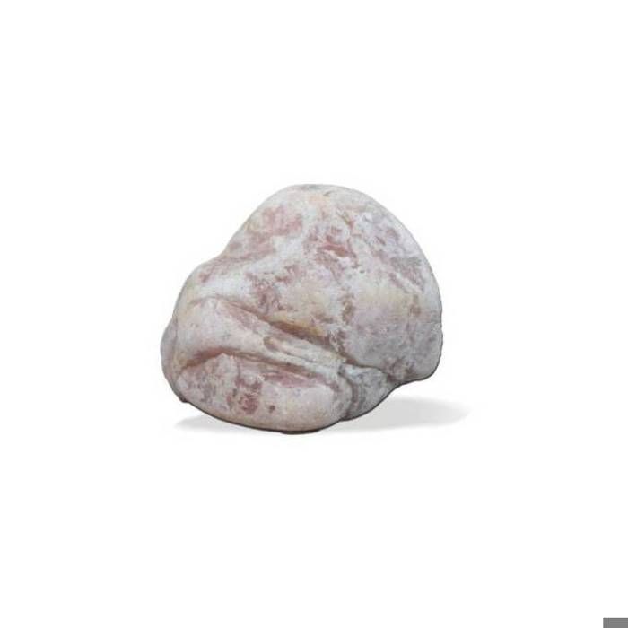 Meilleurs prix pour Pierre quartz rose S Aquavie