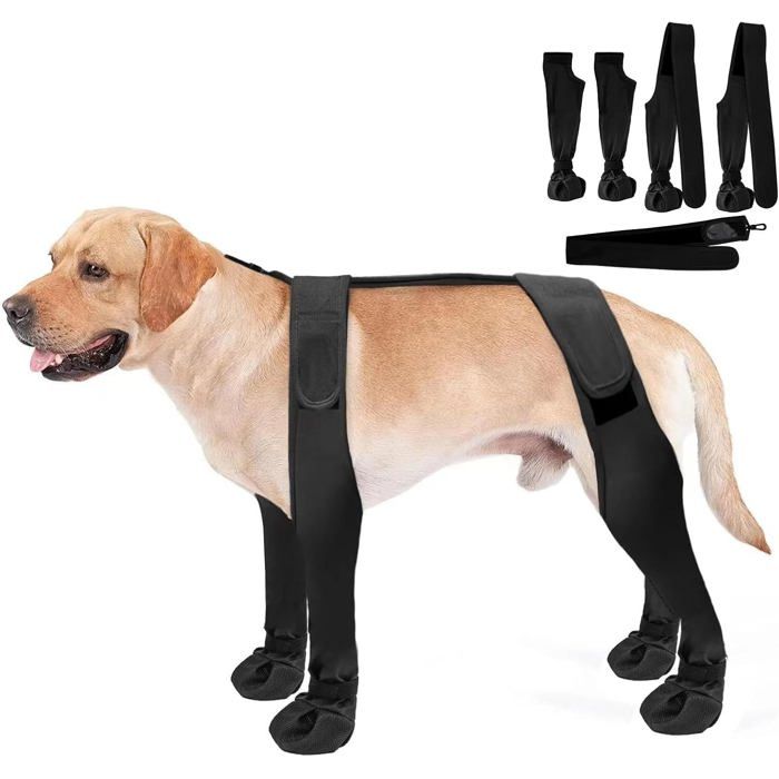 Bottines pour chien avec fermeture arrière – Protège-pattes imperméables avec bretelles – Antidérapantes – Noir – M
