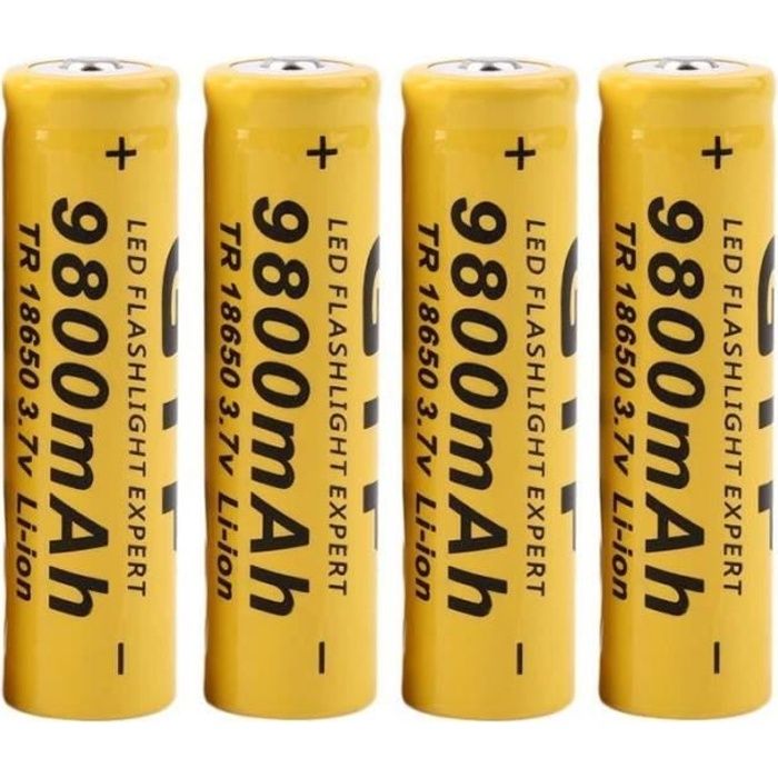 Chargeur de Batterie à 6 Fentes pour Lampes de Poche Alomejor 18650 Etui à Piles Etui étanche pour Toutes Les Piles Flat Top Taille 18650 