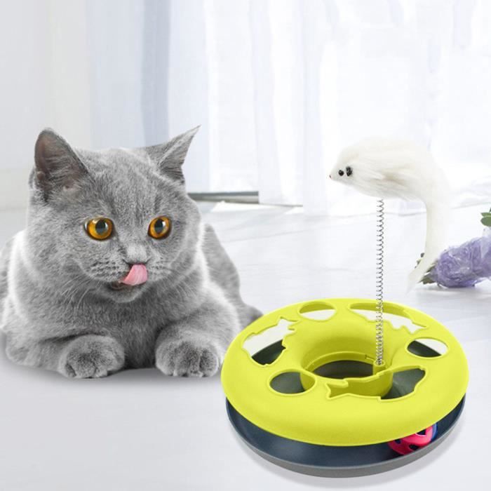 Jeu De Chat Rond Colorimetrie Carte Ressort Chat De La Souris Tourne Disque De Jouet Interactif 5 Cdiscount