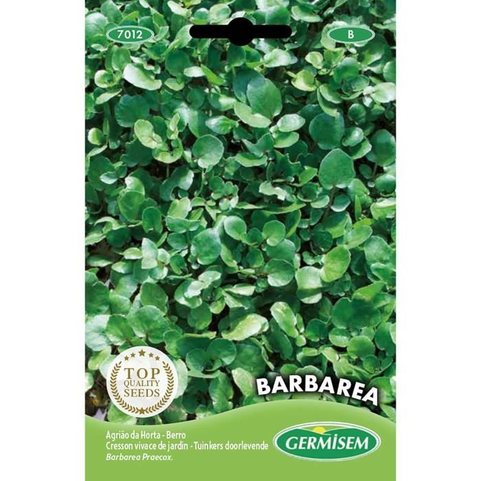 Graines De Cresson Vivace De Jardin - Sachet 5 G - Légume Feuille Ancien - Les Graines Bocquet (producteur Français Depuis 1896) - 12