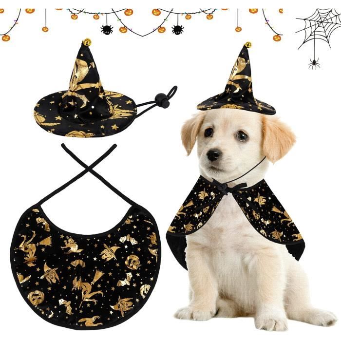 Cape du Magicien d'halloween,Chapeau de Sorcier et Sac de Bonbons Citrouille,Costume de Sorcière