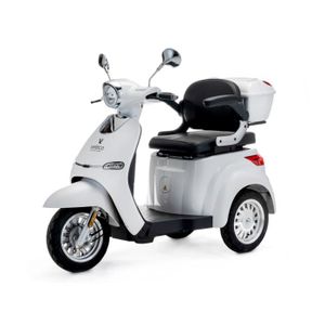 Scooter électrique pour mobilité réduite, 4 roues, Compact et démontable, Auton. 10 km, 12V, Rouge, Virgo