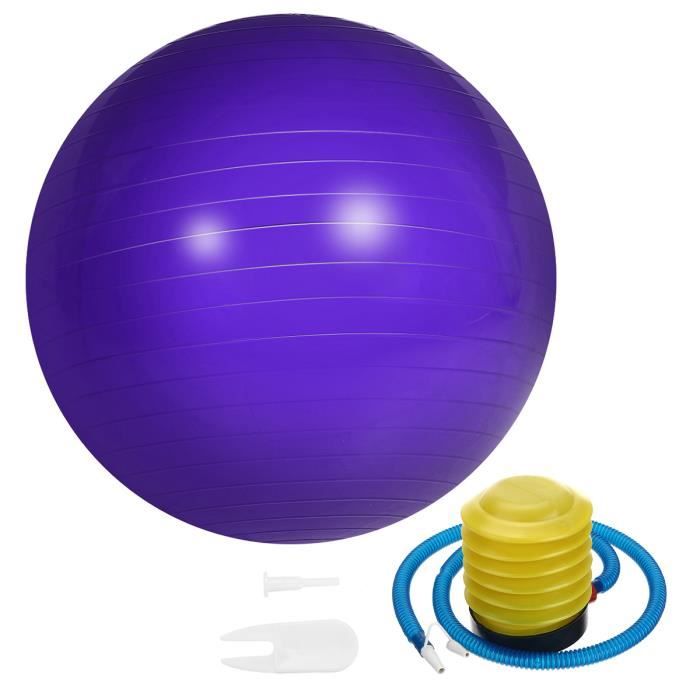 Ballon de Yoga 65cm Fitness Sport Exercice + Pompe Violet