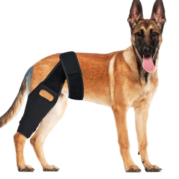 INF Orthèse de genou XL pour chien pour la récupération et le soutien du LCA
