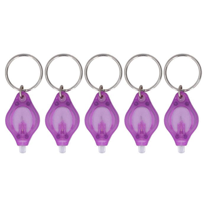 Lot de 5 mini porte-clés UV longueur donde 365 nm et 395 nm lampe torche LED violette portable Label