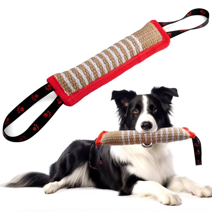 Jouet Chien Indestructible Boudin Jouet pour Chien Cadeau pour Interactif avec Poignée Rouge QIEDOVIEY