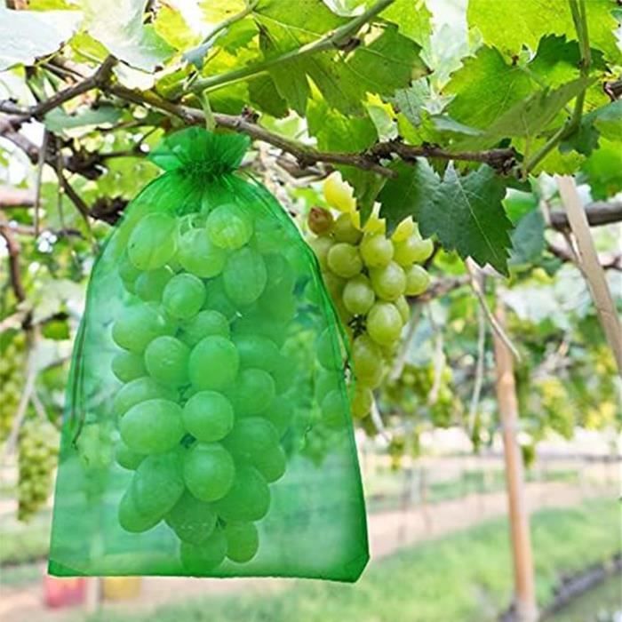 Sacs De Protection Pour Fruits Sacs Raisins Organza 40x30cm Cordon