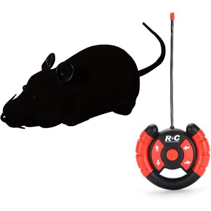 niCWhite Jouet pour chat en forme de souris télécommandée - Jouet interatif  pour chat mobile - Sans fil - Souris électronique pour rat et exercice  (noir) : : Animalerie