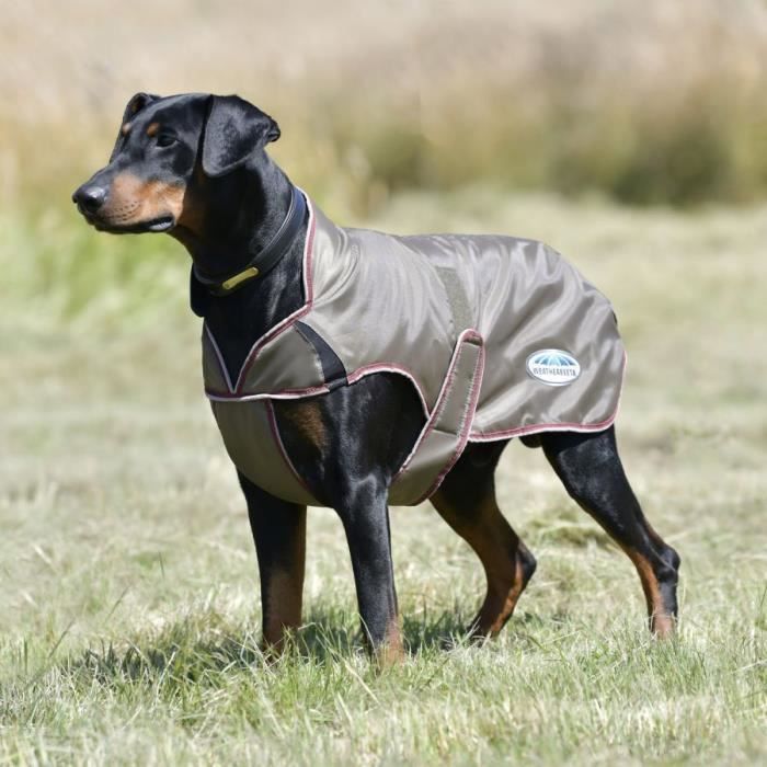 Manteau de luxe pour chien store