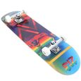 Skateboard Erable canadien glitch - 213 UNI Bleu Ciel - Skateboard - Glisse urbaine - Mixte-1