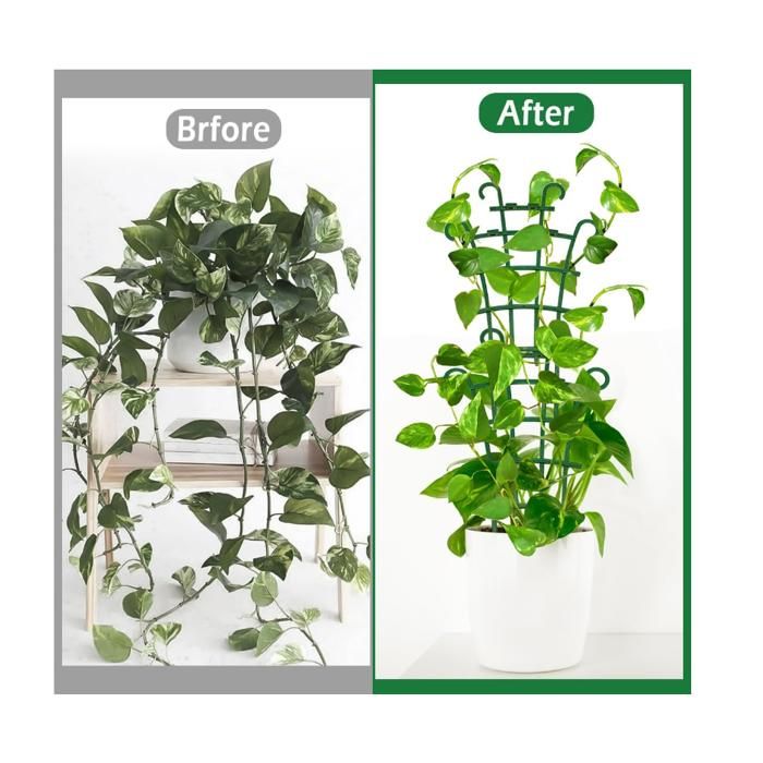 8 Pièces Tuteur Plante Grimpante,Plantes Grimpantes Support,Jardin — free download