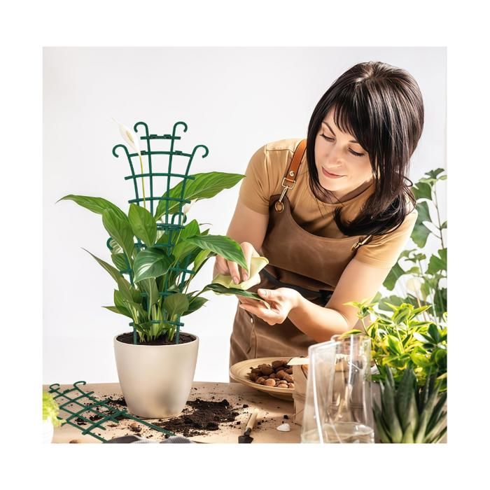 8 Pièces Tuteur Plante Grimpante,Plantes Grimpantes Support,Jardin — free download