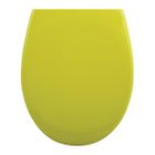 Abattant Wc - MSV - Thermo Dur Vert - Charnières en Acier Inoxydable - Fermeture en Douceur