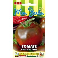 Sachet de  Tomate Noire de Crimée - 0,2 g - légume fruit - LES GRAINES BOCQUET
