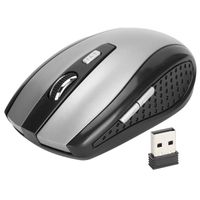 Souris d'ordinateur sans fil Souris sans fil 2.4G Mini accessoires optiques ergonomiques informatique d'ordinateur Gris
