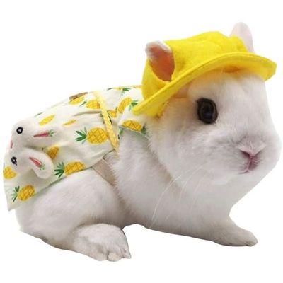 Habit pour lapin online