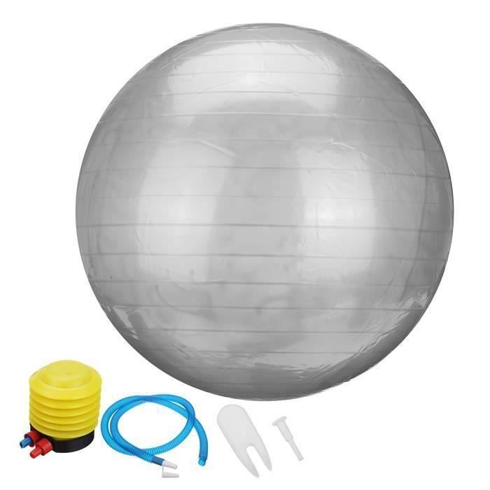 Ballon de Yoga 55cm Fitness Sport Exercice + Pompe Argent