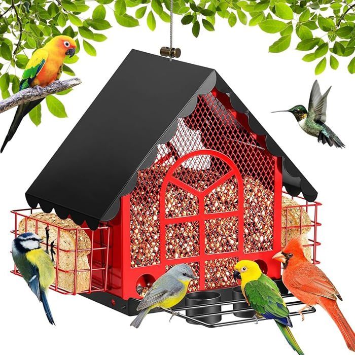 Grande Mangeoire Oiseaux Extérieur Anti-Écureuils - Double Cage à Suif + Gobelet Eau, Motif Cardinal Rouge